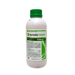 Actellic 500 EC 1L - środek owadobójczy na szkodniki magazynowe