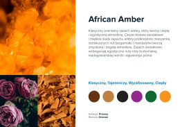 AirQ Small Fragrance Insert - "African Amber"