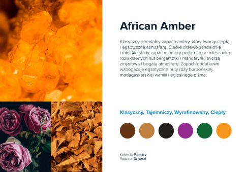 Wkład zapachowy AirQ Small - "African Amber"