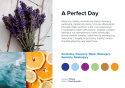AirQ Big Fragrance Insert - "A Perfect Day"
