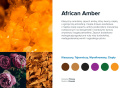 AirQ Big Fragrance Insert - "African Amber"
