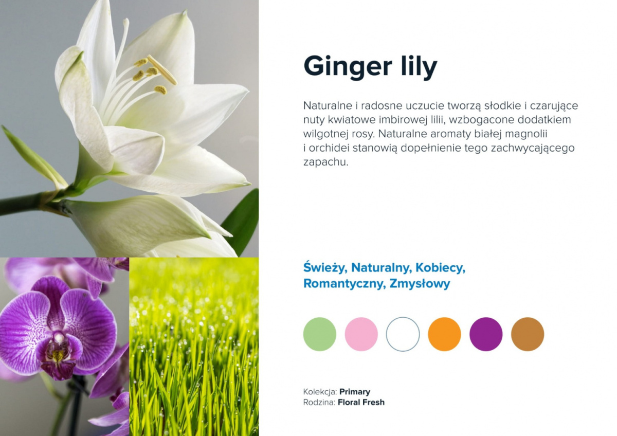 AirQ Big Fragrance Insert - "Ginger lily"