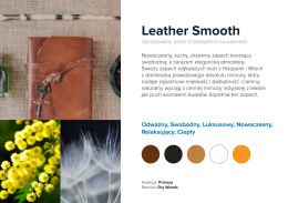 Wkład zapachowy AirQ Big - "Leather Smooth"