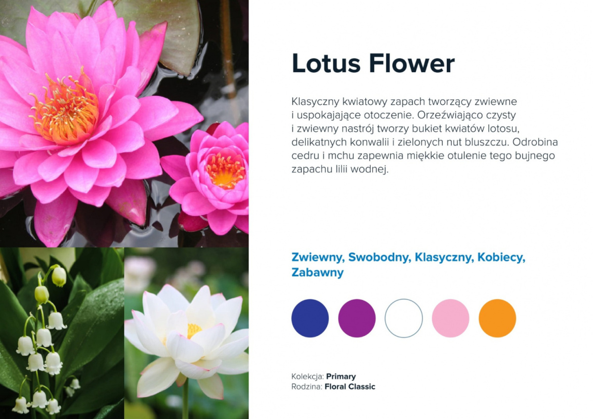 AirQ Big Fragrance Insert -"Lotus Flower"