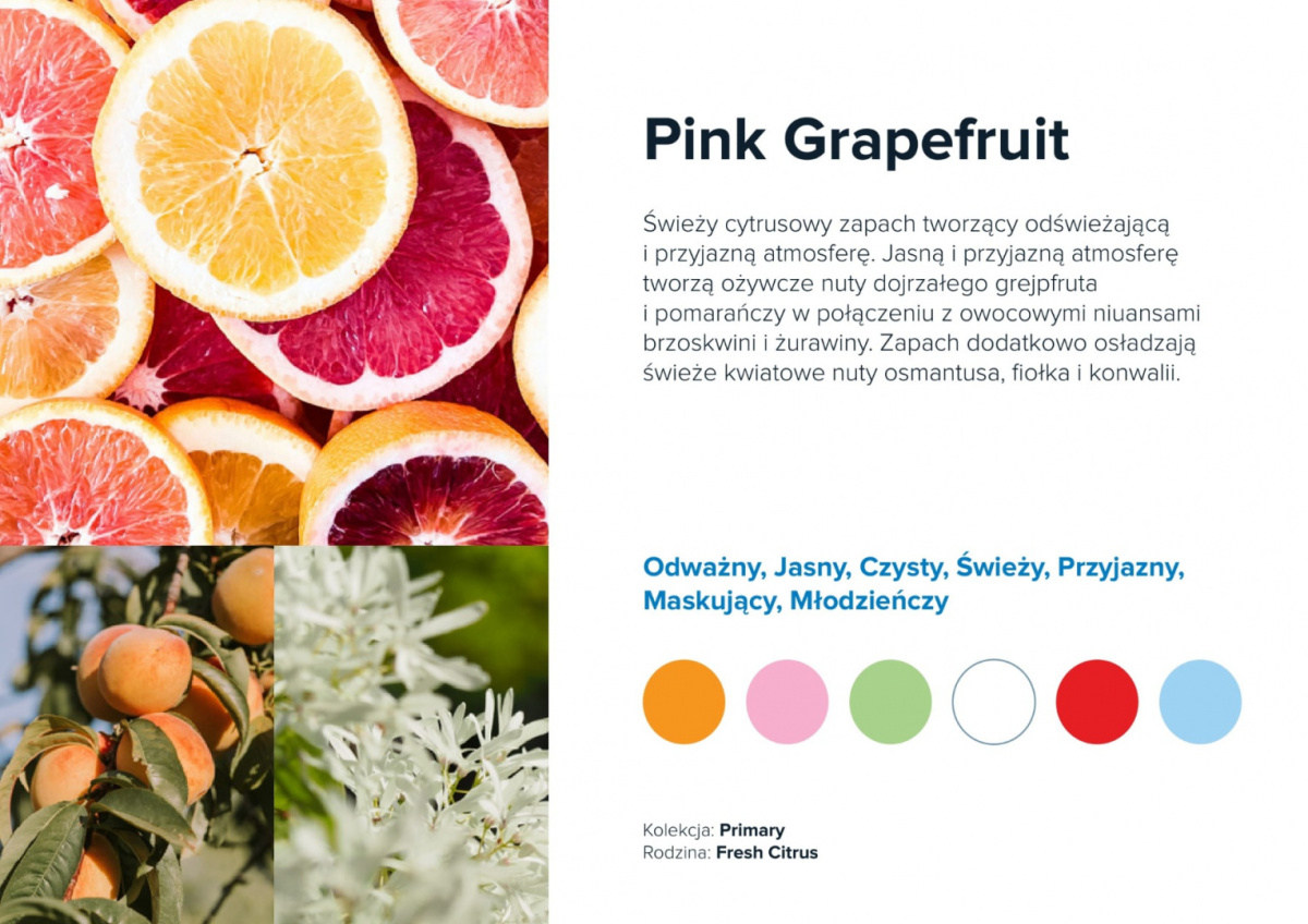 AirQ Big Fragrance Insert - "Pink Grapefruit"
