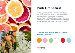 Wkład zapachowy AirQ Big - "Pink Grapefruit"