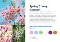 AirQ Big Fragrance Insert - "Spring Cherry Blossom"