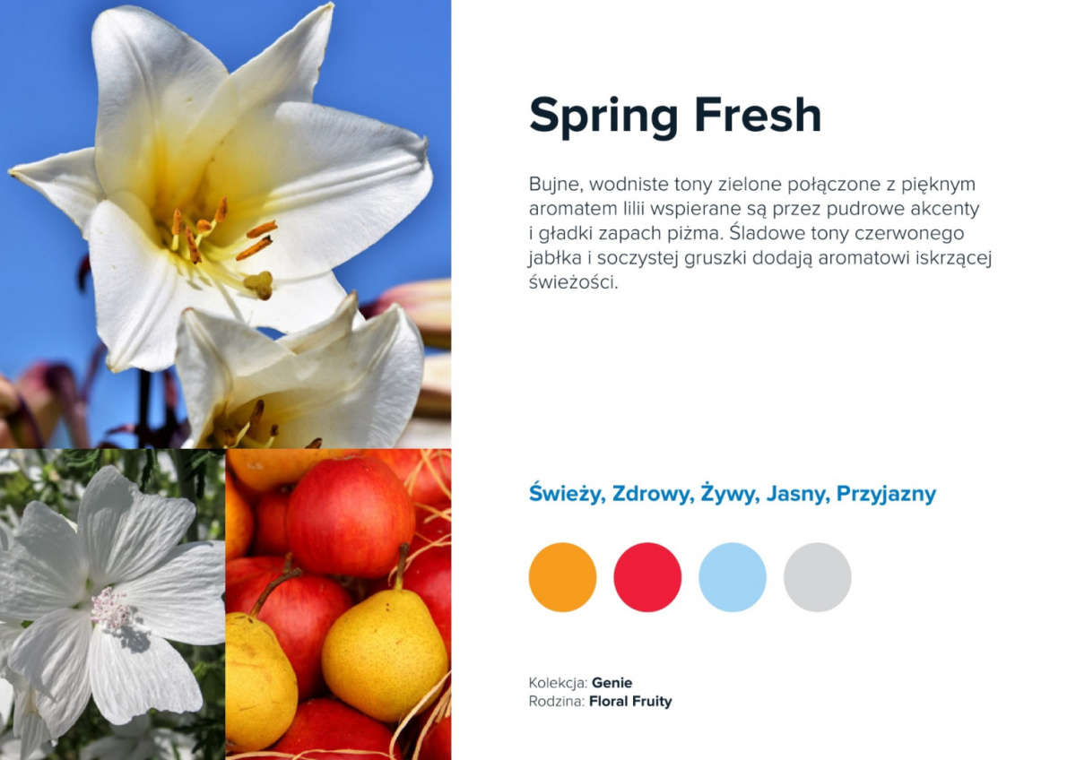 AirQ Big Fragrance Insert - "Spring Fresh"