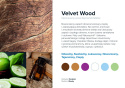 AirQ Big Fragrance Insert - "Velvet Wood"