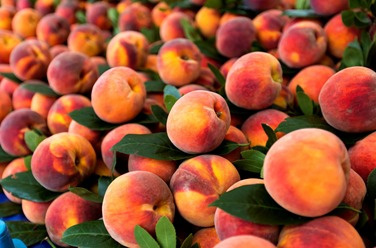 Fragrance insert Fresh Fun - "Peach Nectar"