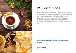 AirQ Small Fragrance Insert - "Mulled Spices"