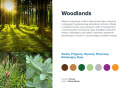 AirQ Small Fragrance Insert - "Woodlands"